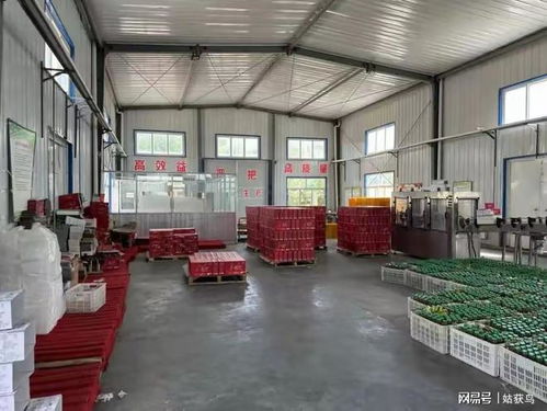 延安大型工厂三度流拍，降价至1824.9万元仍无人问津