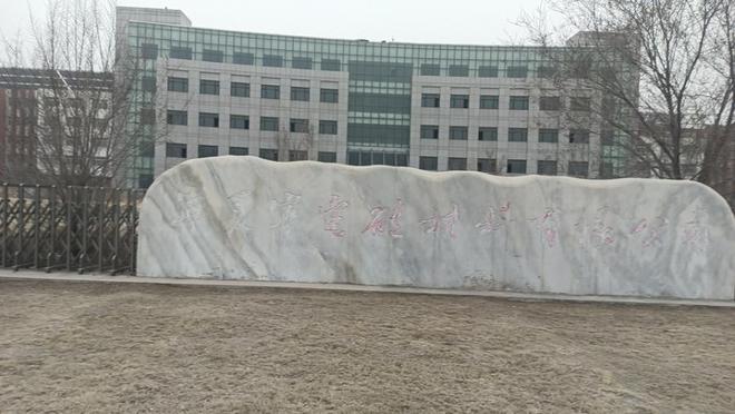 从硅材料工厂到寻常商品 拍卖市场的价格博弈与价值重塑